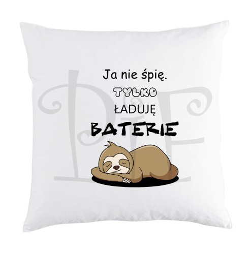 baterie poduszka.jpg