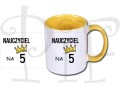 nauczyciel na5 zolty.jpg