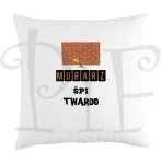 Poduszka z grafiką dla Murarza- Murarz śpi twardo