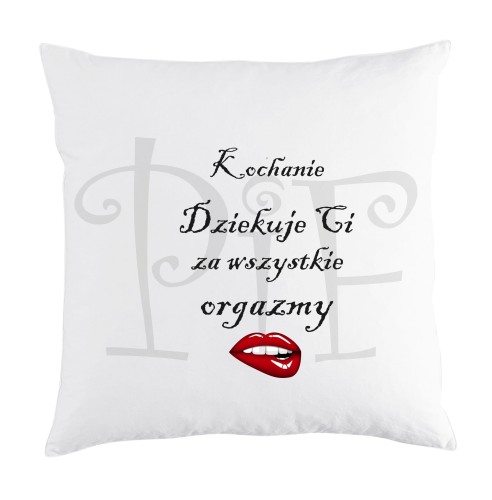poduszka dziękuję Ci za wszystkie orgazmy.jpg
